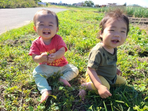 草の上で楽しそうな赤ちゃんたち